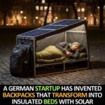 Inflatable Gummy Bear Pools: Splash into Sweet Fun with Candy-Themed Design, Giant Inflatable Luxury, and Playful Backyard Escapes